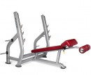 DECLINE BENCH